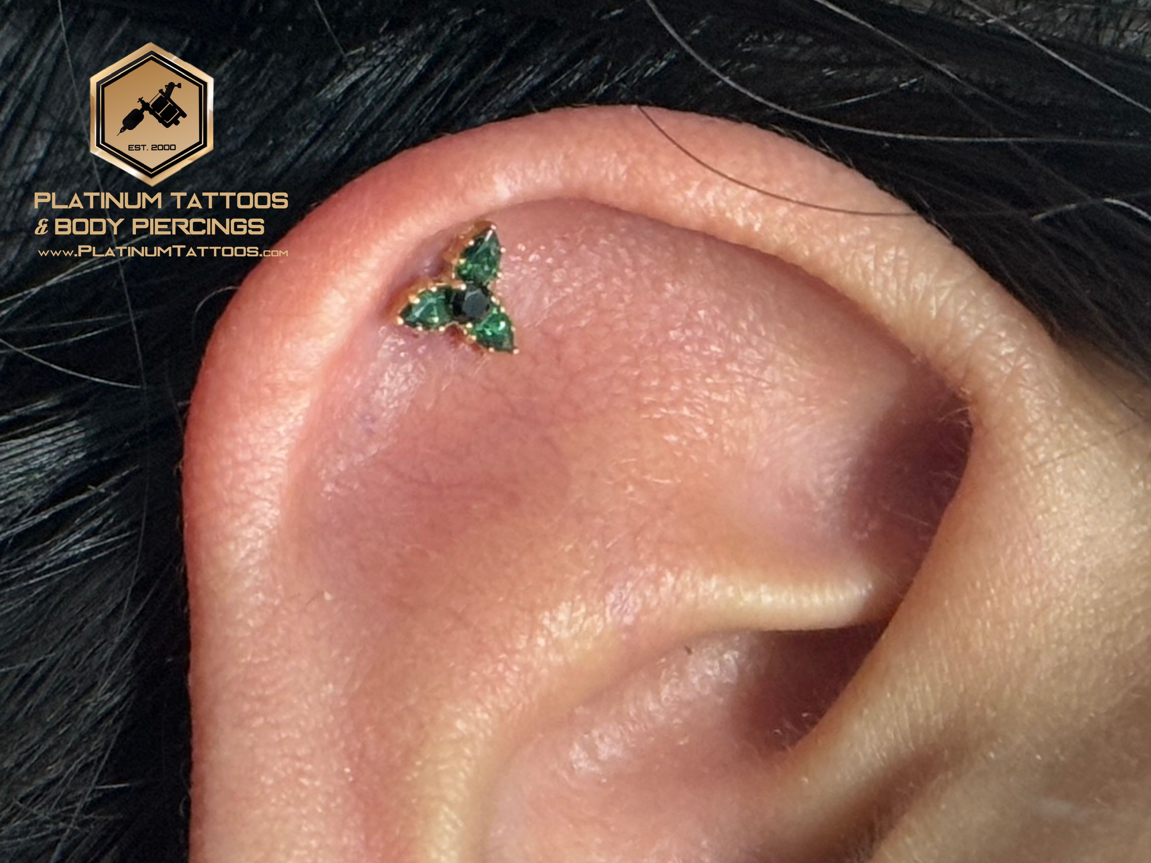 Piercing by Mingo at Platinum Tattoos & Piercings, San Antonio TX