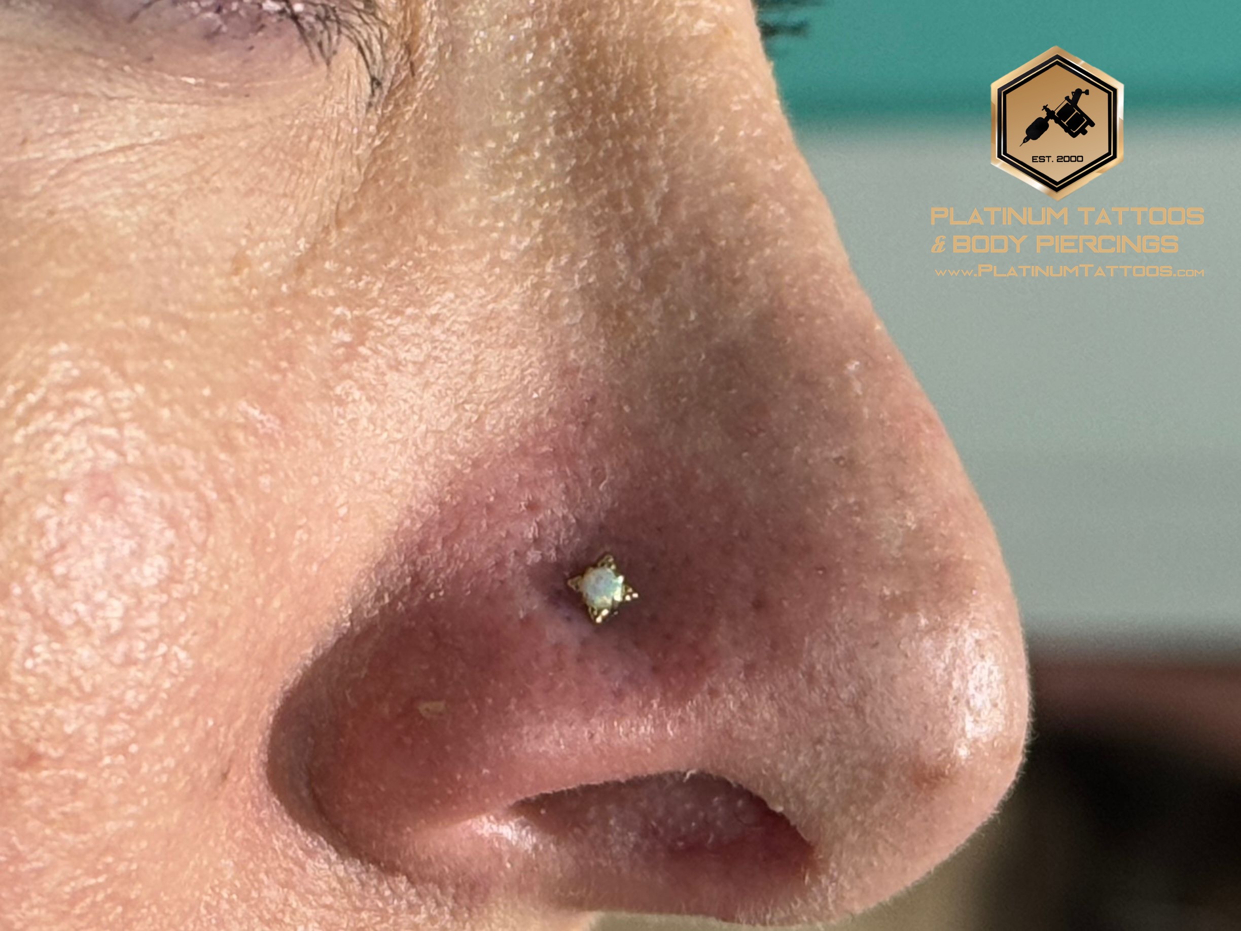 Piercing by Mingo at Platinum Tattoos & Piercings, San Antonio TX