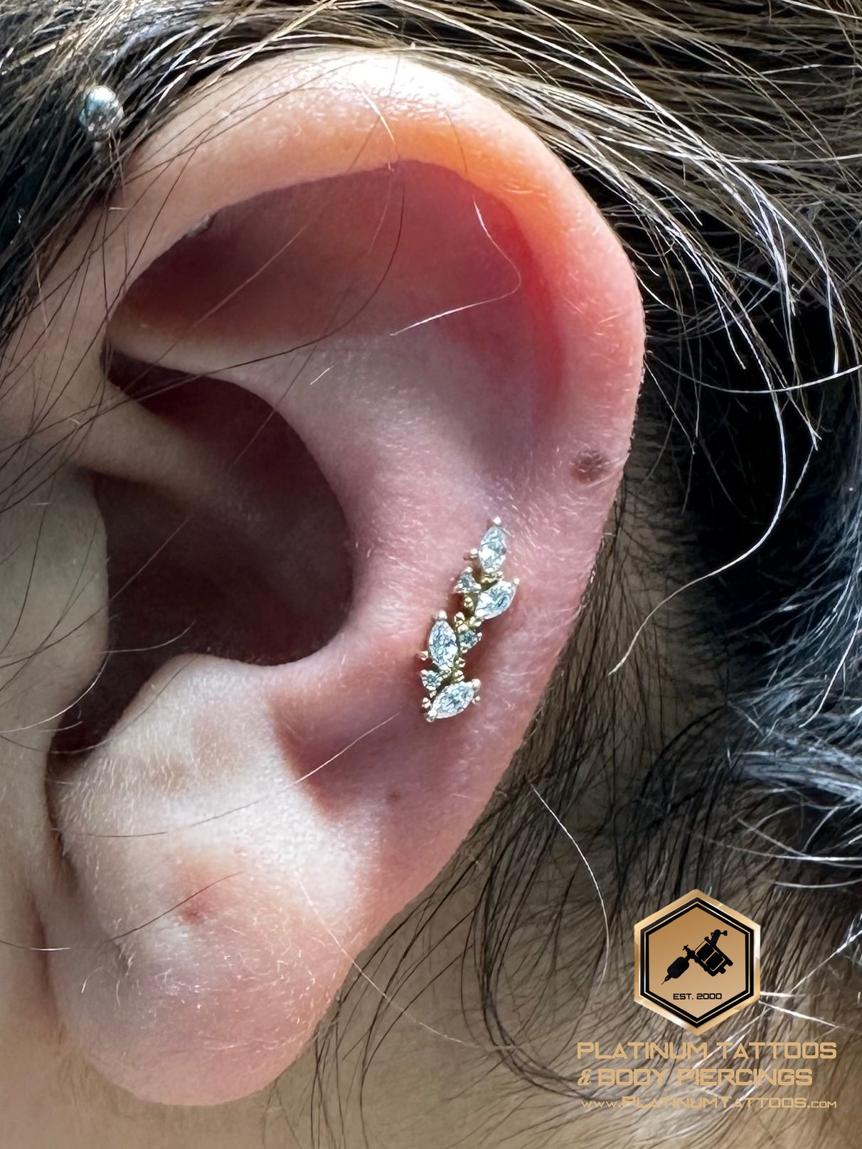 Piercing by Mingo at Platinum Tattoos & Piercings, San Antonio TX