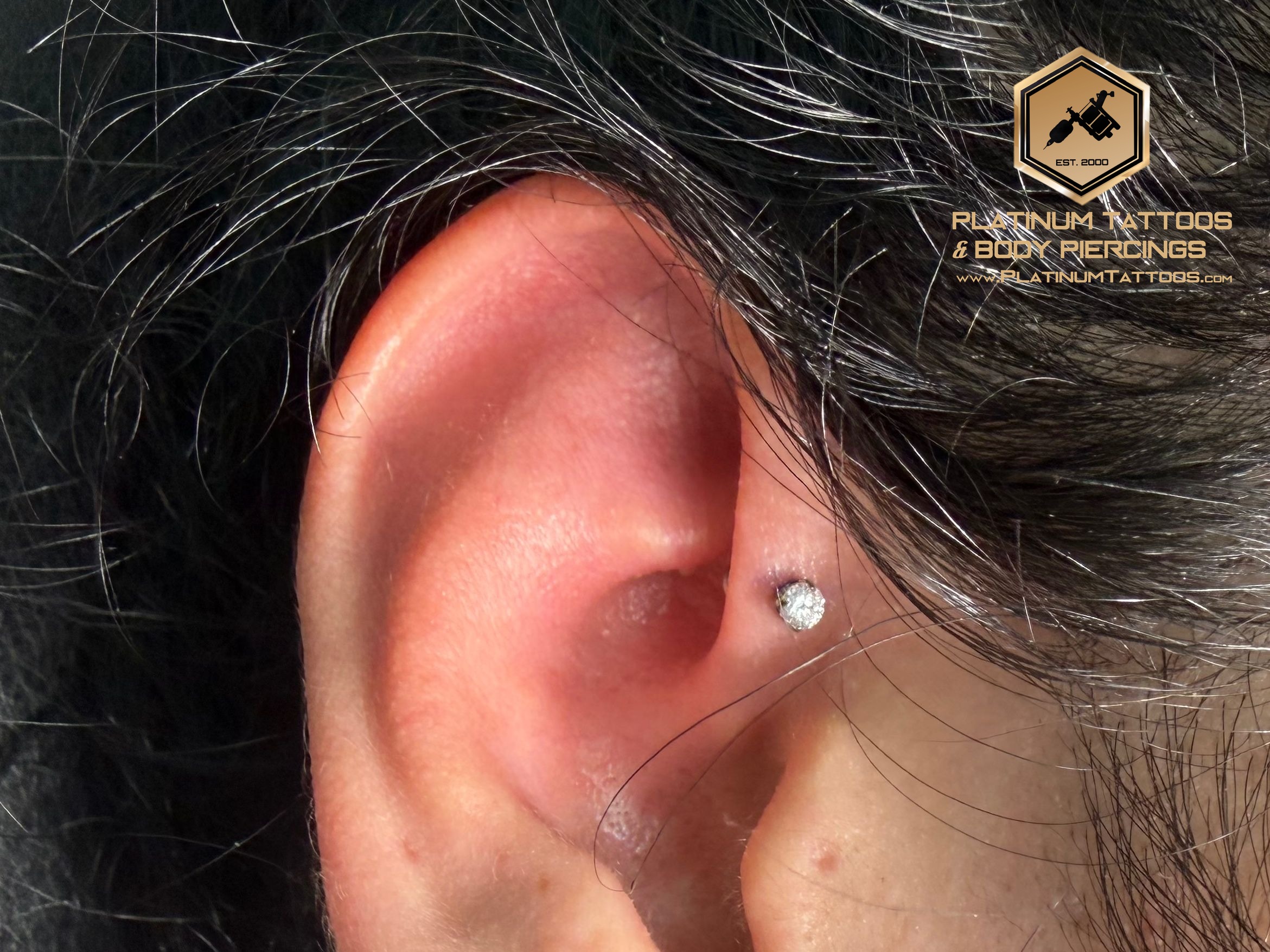 Piercing by Mingo at Platinum Tattoos & Piercings, San Antonio TX