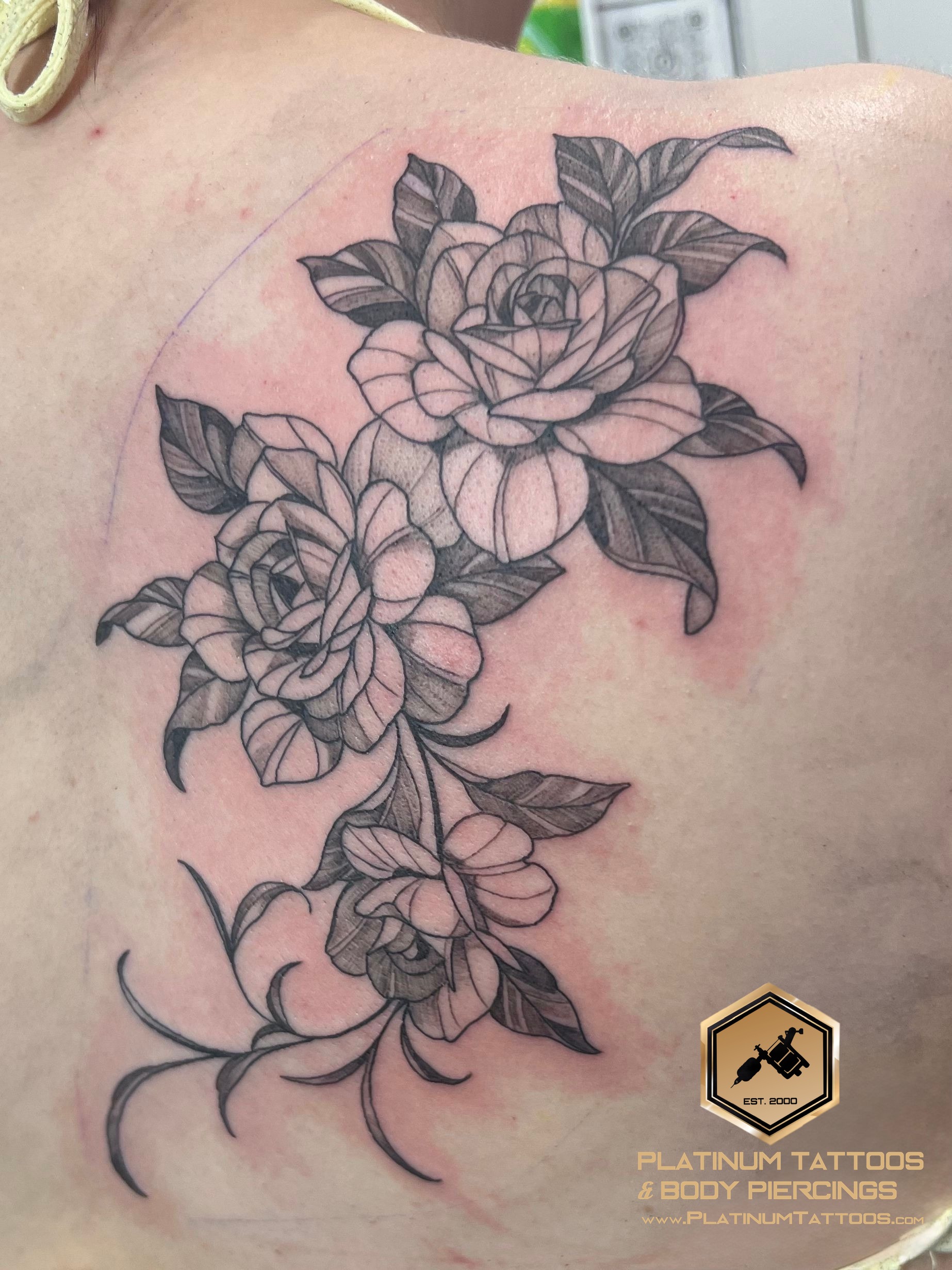 Dotwork tattoo on the back by Jesus at Platinum Tattoos & Piercings, San Antonio TX
