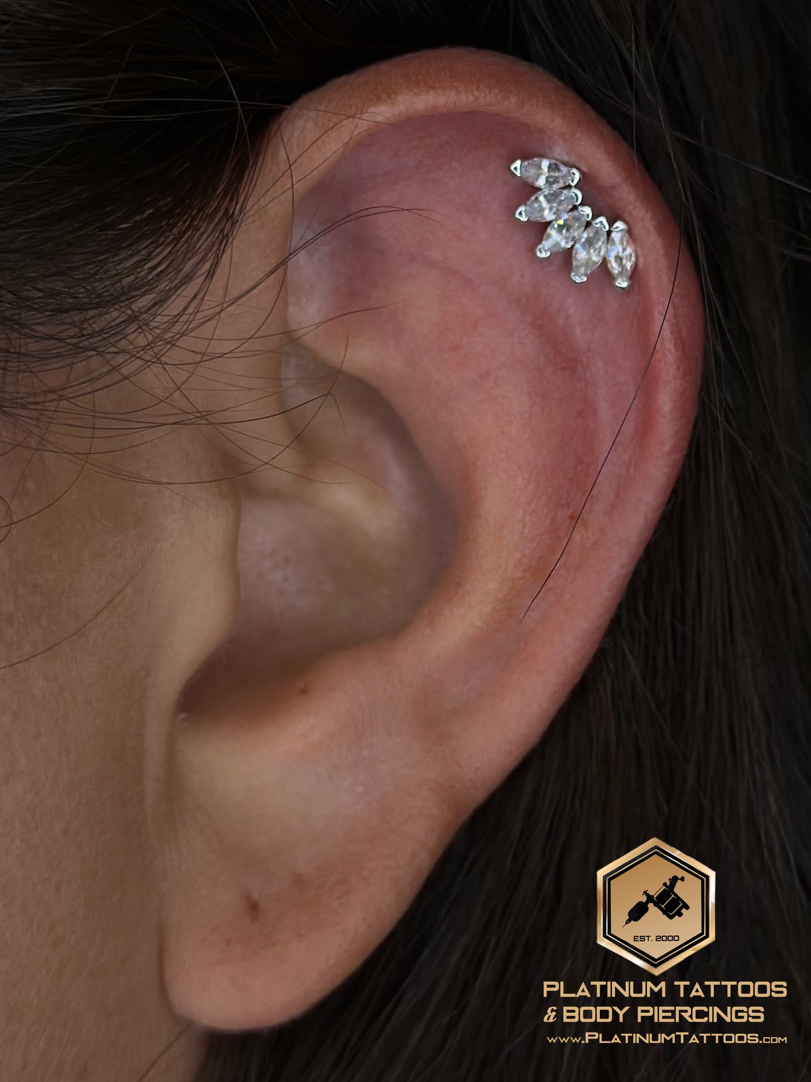 Piercing by Noah at Platinum Tattoos & Piercings, San Antonio TX