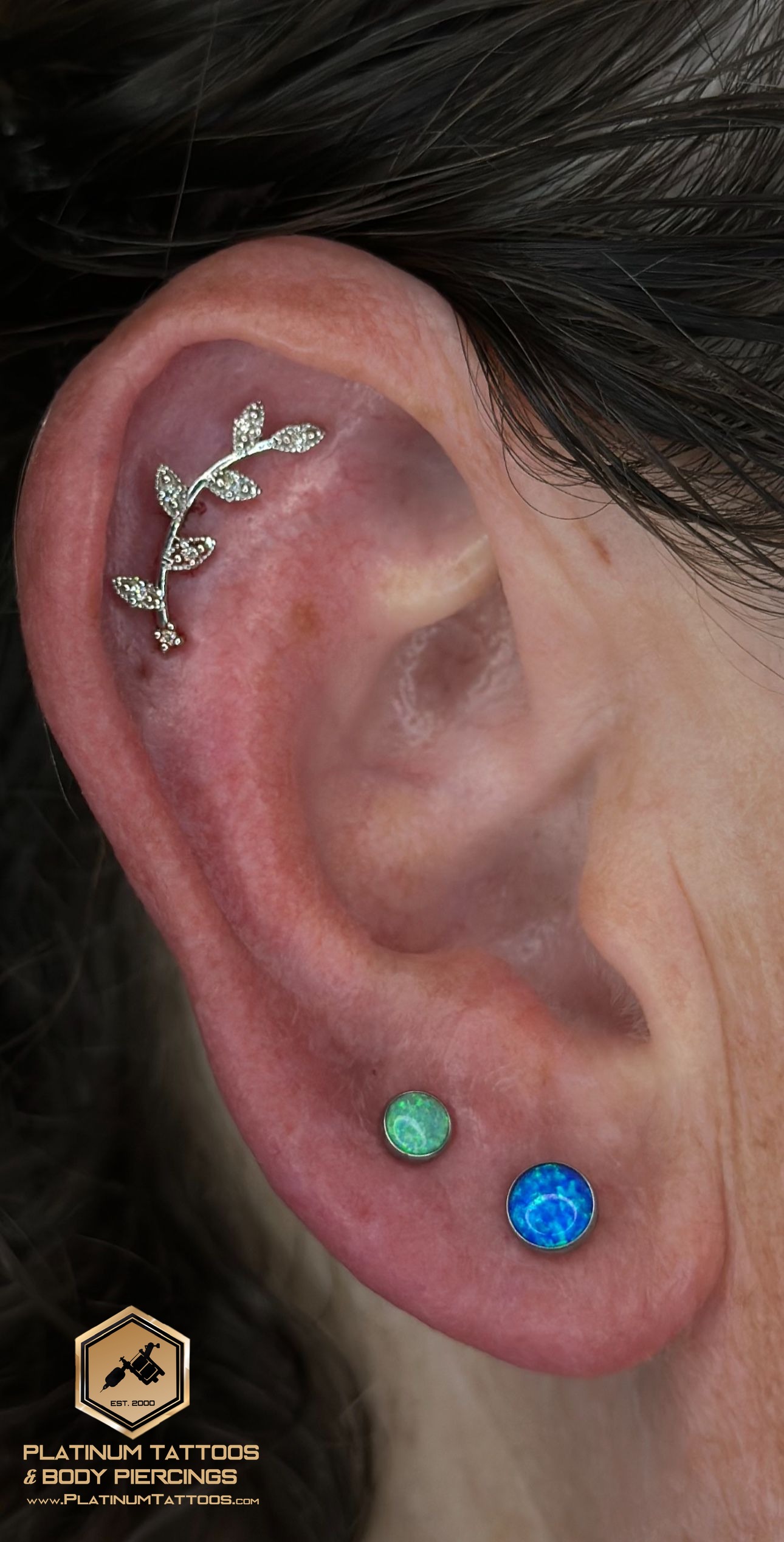 piercing Helix on the Right Ear by Noah at Platinum Tattoos & Piercings, San Antonio TX