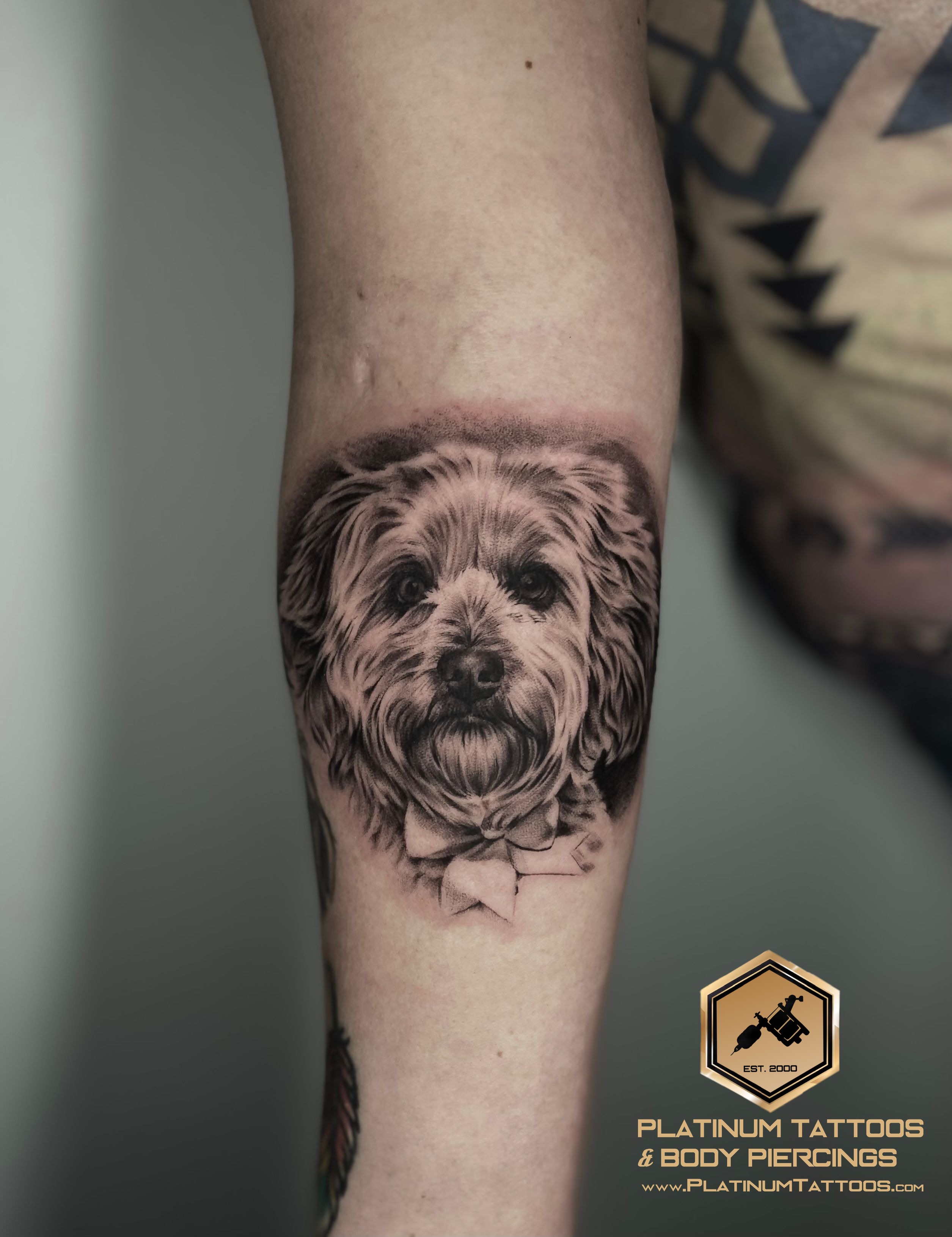 Pet Portrait tattoo on the Forearm by Remy at Platinum Tattoos & Piercings, San Antonio TX