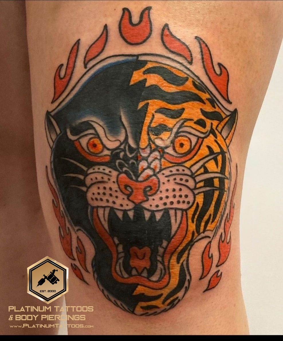 Traditional Multi-Color Tiger tattoo by Jr at Platinum Tattoos & Piercings, San Antonio TX