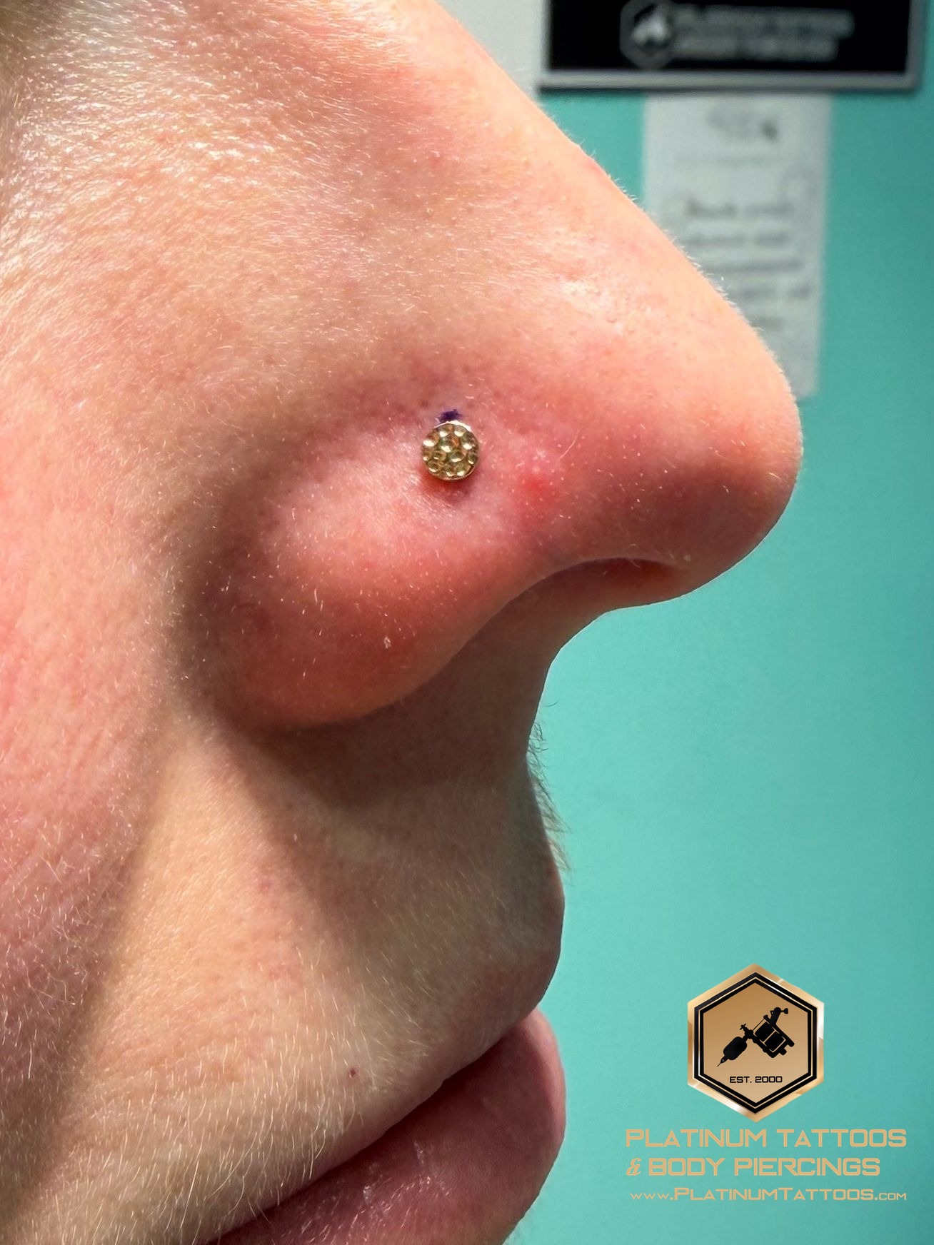 Nostril piercing with 14k Yellow Gold Disc by Junipurr by Mingo at Platinum Tattoos & Piercings, San Antonio TX