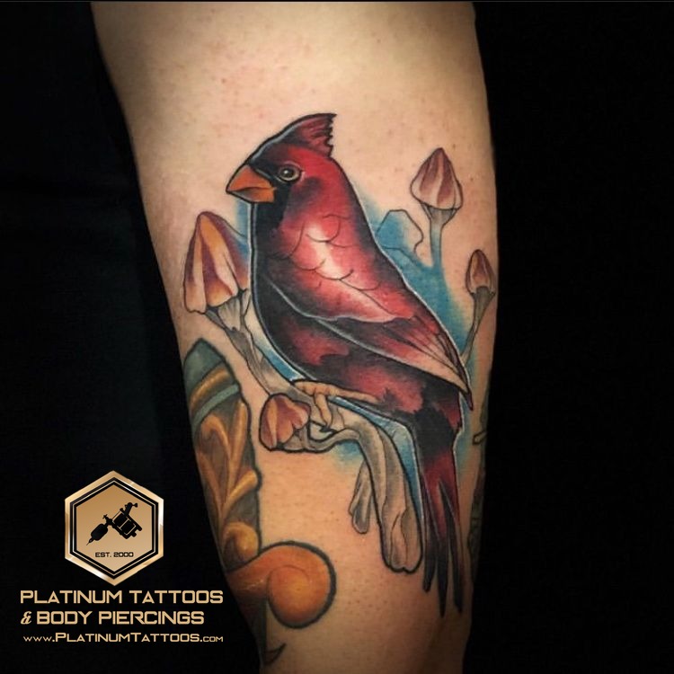 Neo-Traditional Multi-Color, Red, Black, White, Blue, Orange Bird, Mushroom tattoo on the Calf at Platinum Tattoos & Piercings, San Antonio TX