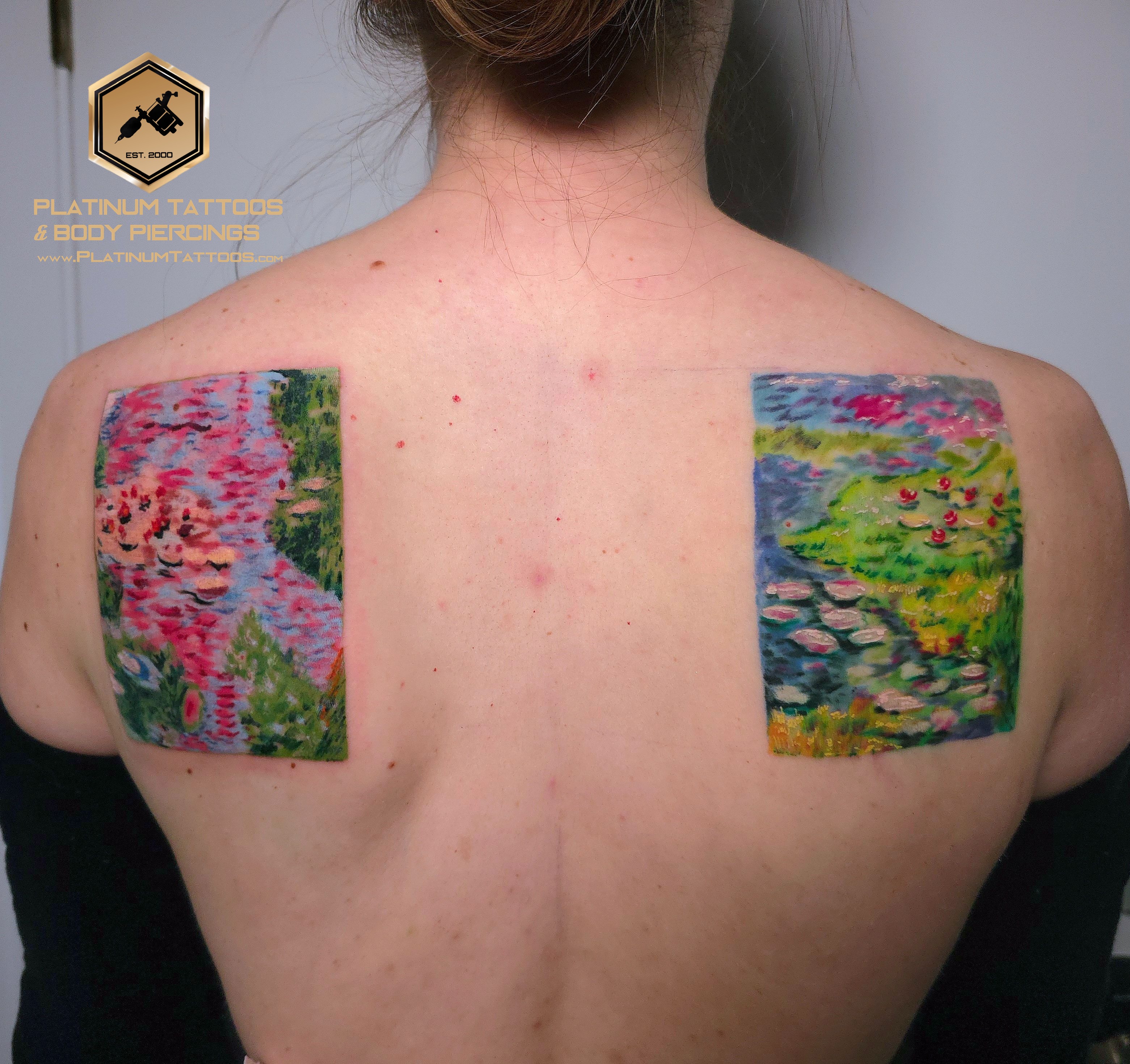 Color tattoo on the Full Back by Lee at Platinum Tattoos & Piercings, San Antonio TX