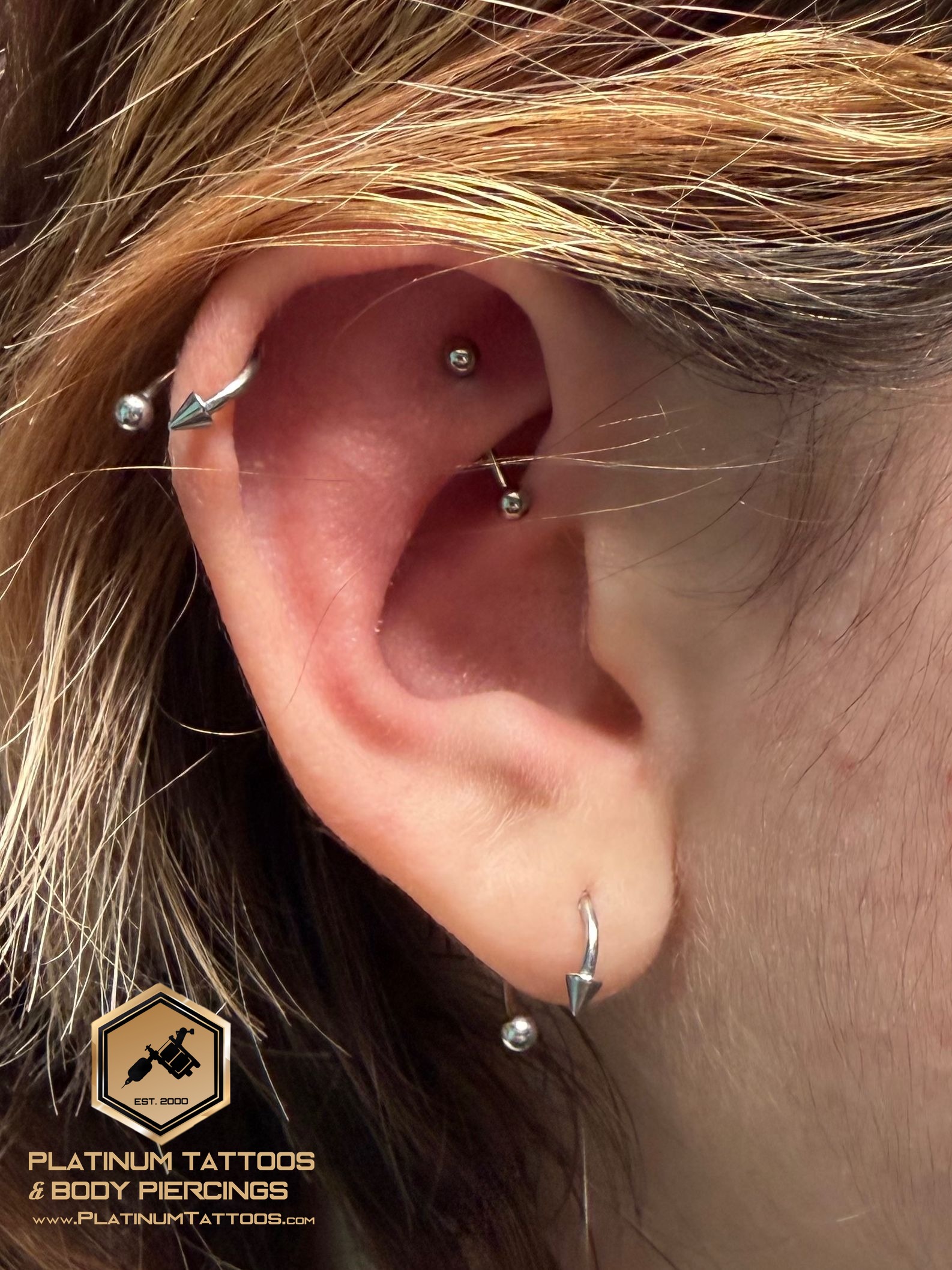 Rook piercing with Implant Grade Titanium Curved Barbell by Other by Mingo at Platinum Tattoos & Piercings, San Antonio TX