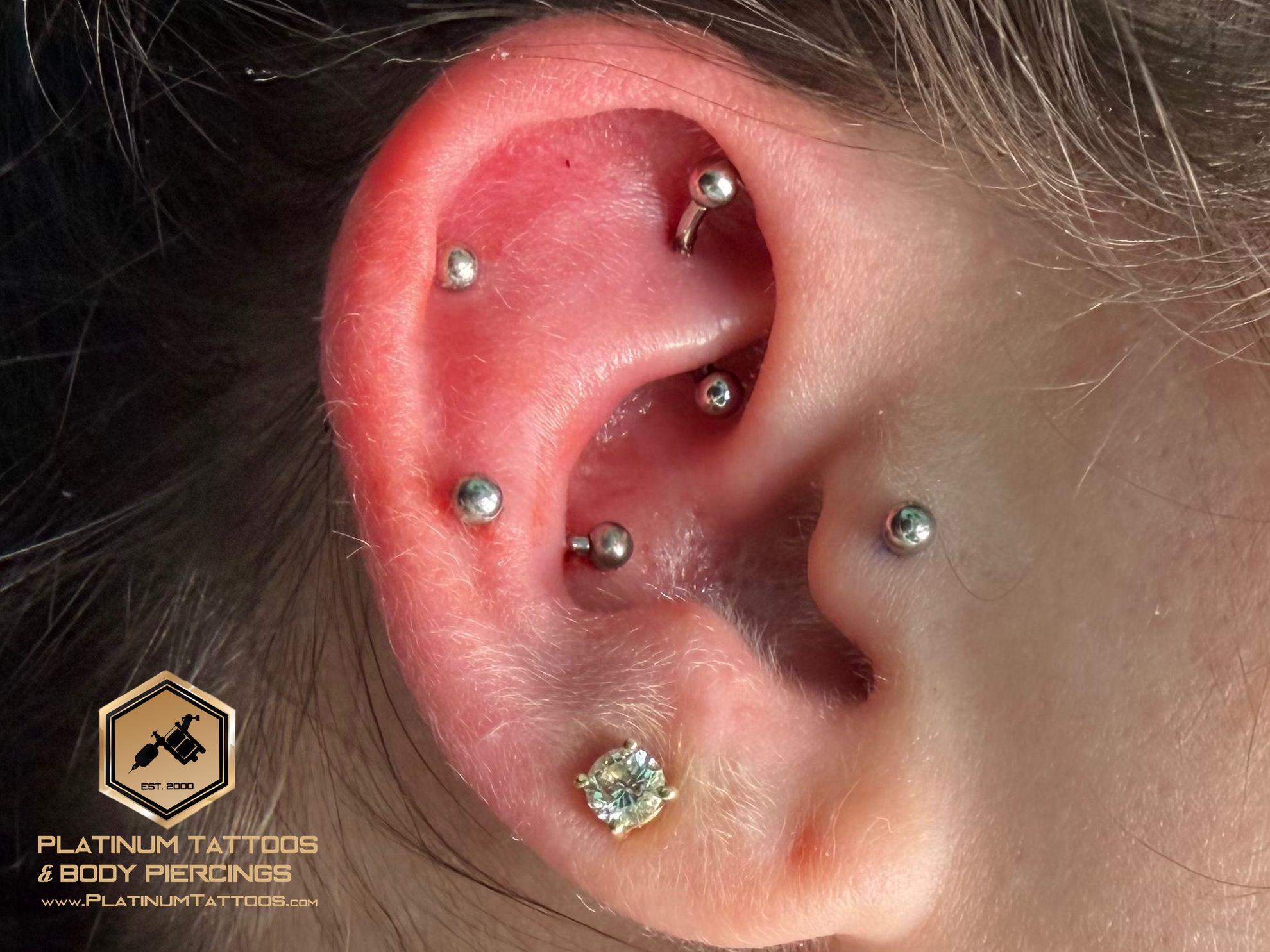 Curated ear piercing setup β 1st Helix, Rook, Snug, Tragus with Implant Grade Titanium Labret Stud/Flat Back, Curved Barbell by NeoMetal, Other by Mingo at Platinum Tattoos & Piercings, San Antonio TX