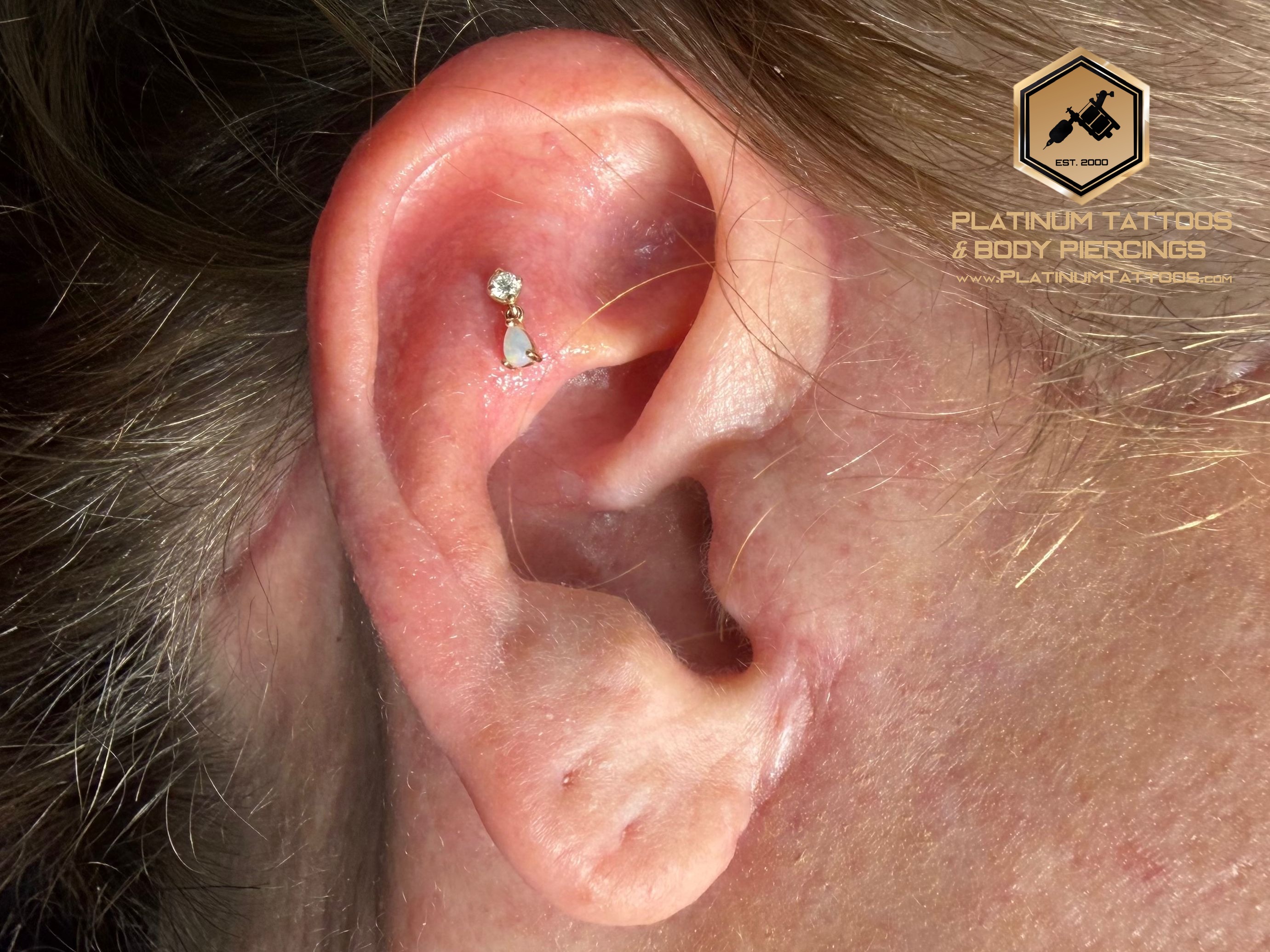 Flat piercing with 14k Yellow Gold Labret Stud/Flat Back by Other by Mingo at Platinum Tattoos & Piercings, San Antonio TX
