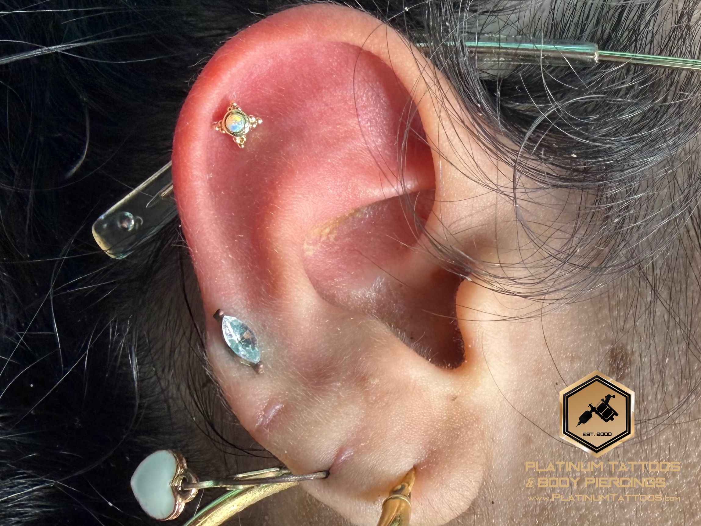 1st Helix piercing with 14k Yellow Gold Labret Stud/Flat Back by Tawapa by Mingo at Platinum Tattoos & Piercings, San Antonio TX