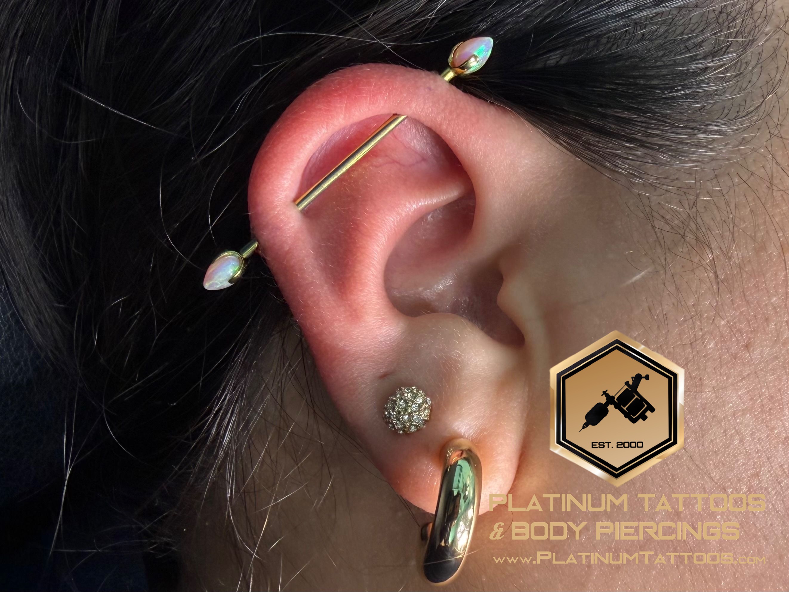Industrial piercing with Implant Grade Titanium Barbell by Industrial Strength by Mingo at Platinum Tattoos & Piercings, San Antonio TX
