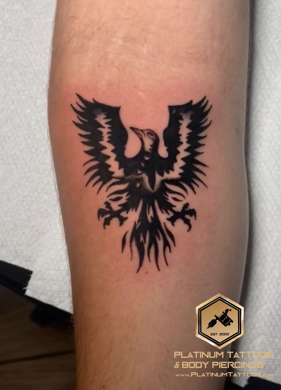 Black & Grey Black Bird tattoo on the Inner Forearm by Skar at Platinum Tattoos & Body Piercings, San Antonio TX