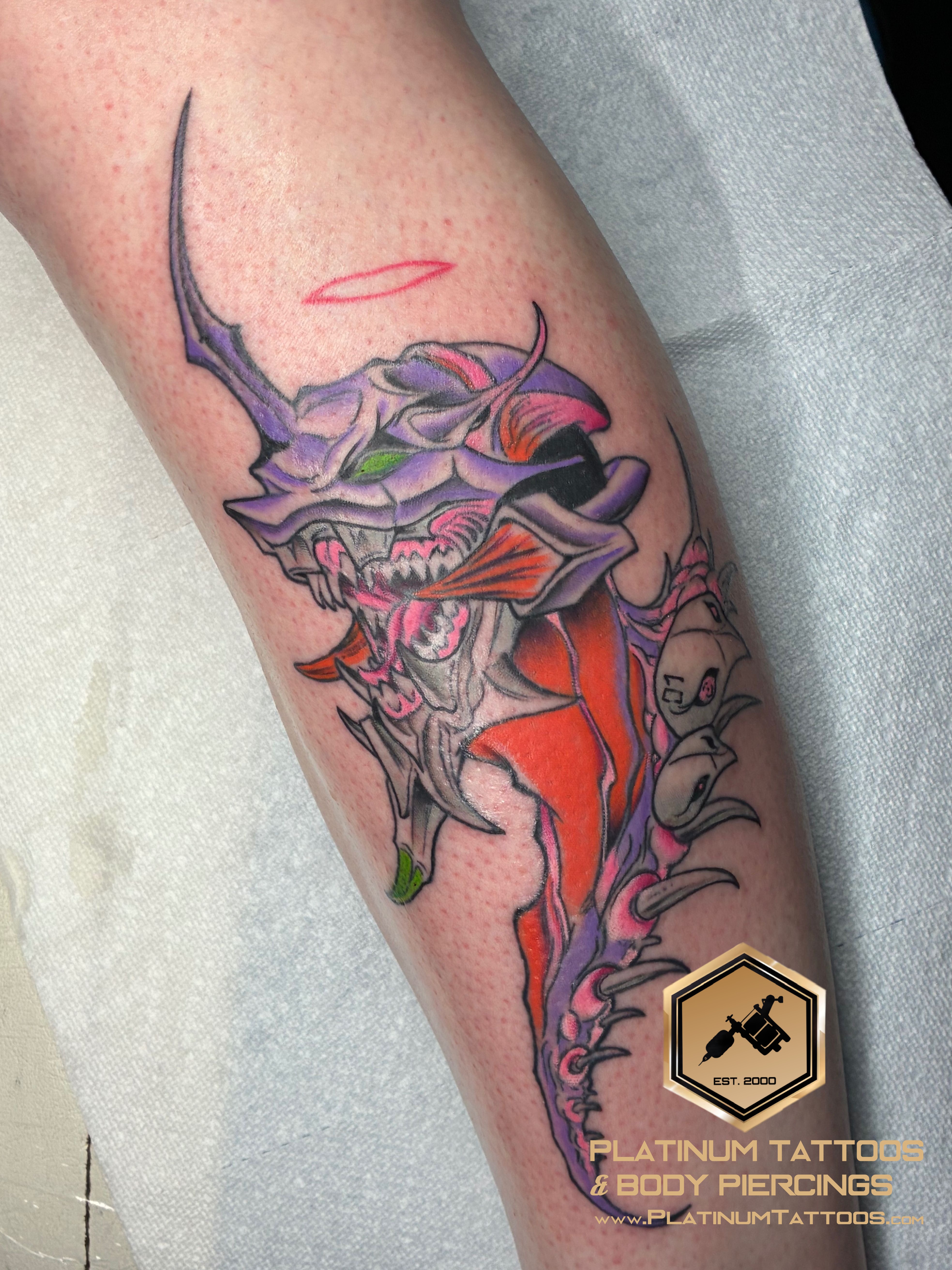 Anime, Neo-Traditional Purple, Red, Black, Green tattoo on the Calf by Jr at Platinum Tattoos & Body Piercings, San Antonio TX