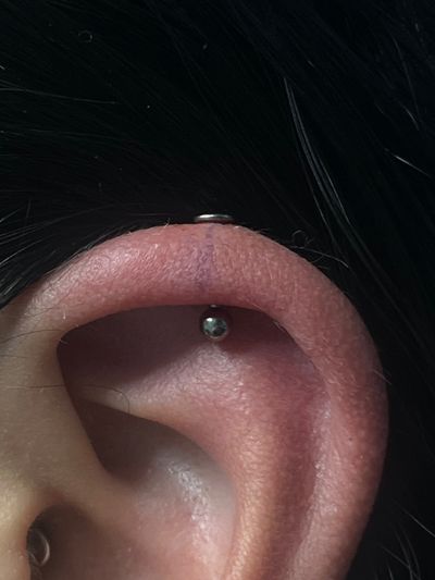 Vertical Helix piercing with Implant Grade Titanium Threadless by NeoMetal by Harley at Platinum Tattoos & Piercings, San Antonio TX