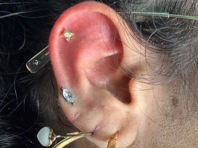 1st Helix piercing with 14k Yellow Gold Labret Stud/Flat Back by Tawapa by Mingo at Platinum Tattoos & Piercings, San Antonio TX