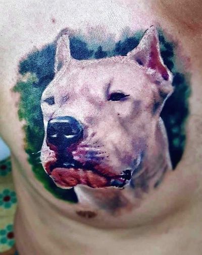 Color tattoo by Lee at Platinum Tattoos & Piercings, San Antonio TX