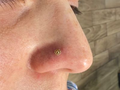 Nostril piercing with 14k Yellow Gold Labret Stud/Flat Back by Tawapa by Mingo at Platinum Tattoos & Piercings, San Antonio TX