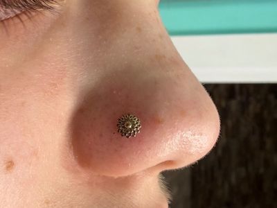 Nostril piercing with 14k Yellow Gold Labret Stud/Flat Back by Tawapa by Mingo at Platinum Tattoos & Piercings, San Antonio TX