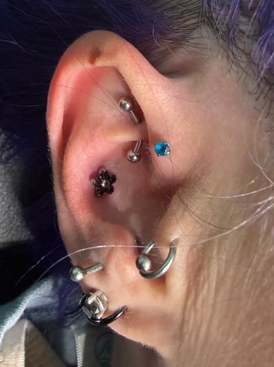 Conch piercing with Implant Grade Titanium Cluster/Multi-Gem by NeoMetal by Mingo at Platinum Tattoos & Body Piercings, San Antonio TX
