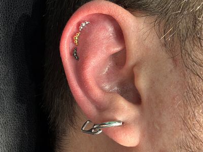 Curated ear piercing setup — 1st Helix, 2nd Helix, 3rd Helix with 14k White Gold, 14k Yellow Gold, Other Labret Stud/Flat Back by Junipurr by Mingo at Platinum Tattoos & Body Piercings, San Antonio TX