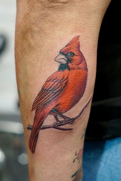 Realism Red, Black, White Bird tattoo on the Forearm by Jr at Platinum Tattoos & Body Piercings, San Antonio TX